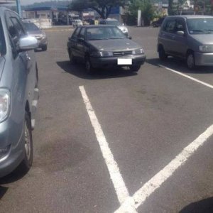 this guy just seems like a shy parker stick it in all the way
