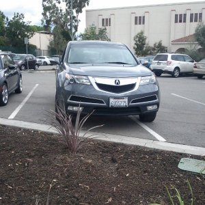 maybe if i hide behind this plant nobody will notice