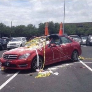 whoops big bird took a fat dump on this mercedes quad spot parker