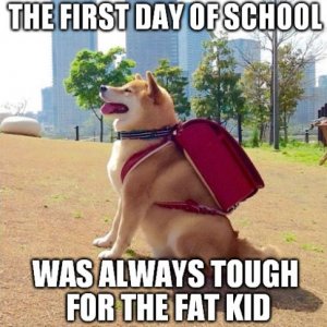 his human smoked his homework