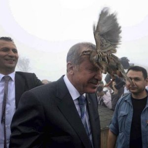 politicians in other countries get birds thrown at them