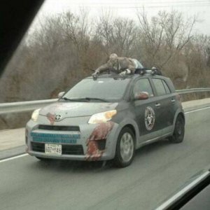 ok this whole zombie thing is getting out of hand