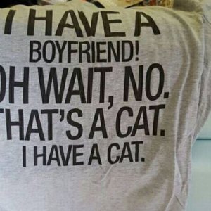 we guess if you dont own a cat youre way more pathetic