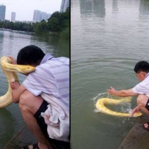 this snake whisperer sucks