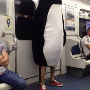he s just desperately trying to blend in