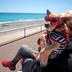 adorable or is this dog secretly miserable
