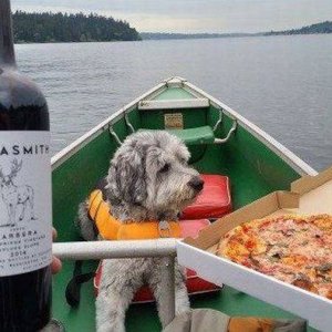 perfect date
