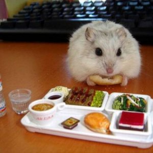 you think that s cool you should see how this guy feeds the people in his basement