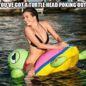 theres a floater joke in here somewhere