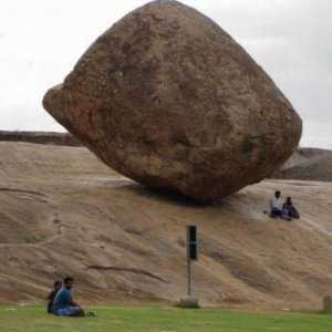 seems like a safe spot for a picnic
