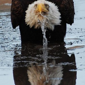 wait you said this is flint michigan water