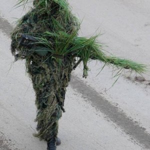 swamp thing has joined the navy seals