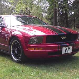 Ford Mustang