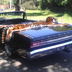 Plymouth Fury