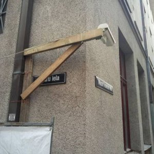 carl liked to keep a close eye on what was happening in the alley