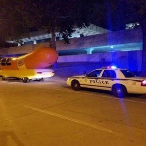 he got pulled over for driving with his wiener out