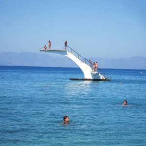 sharks love this diving board
