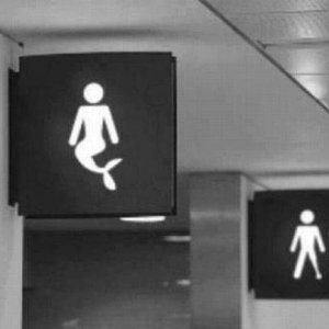 mermaid bathrooms how does that even work