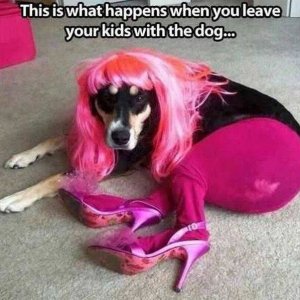 the dog blaming the kids again