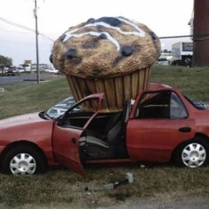 the insurance company is never going to believe him