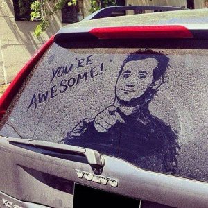 bill murray always has time to appear in dirty windshields