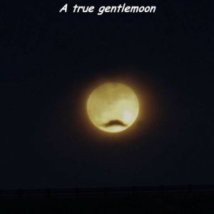 damn hipster moon is going to make us drink a pbr
