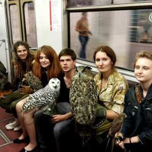 who are these people