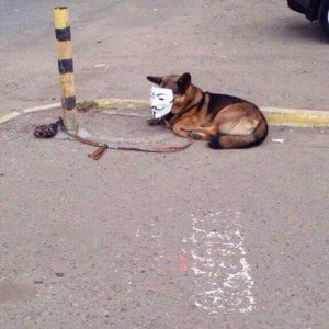 we found out who anonymous is