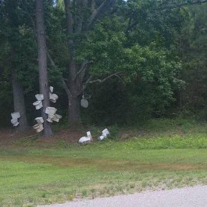where toilets go to die