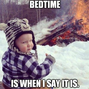 jokes on him mr bear was still in the house when it burned down