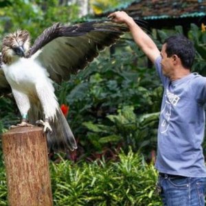they gave an epic high five after the man swallowed a mouse