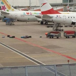 you have to pay extra for your bags not to be lost and trampled on this airline