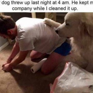 man s best friend would eat it back up