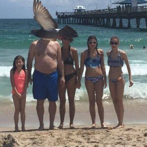 dad was never the same after his head got stuck in a birds ass