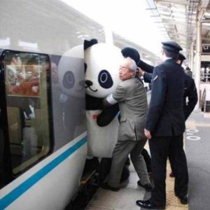 he was caught taking up skirt pics on the train again