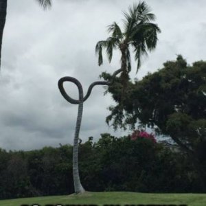 so that is where bendy straws come from the more you know