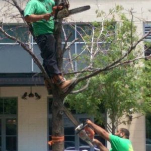 that tree was a bitch they had three other dudes show up