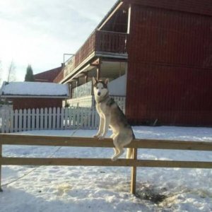 he was really on the fence about the whole thing