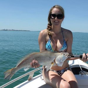 this fish is into some bdsm