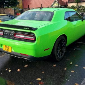 008