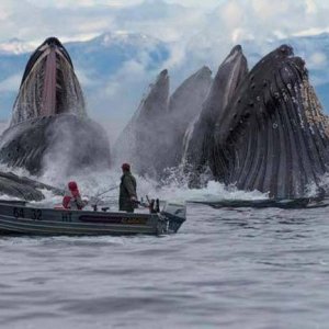 were gonna need a bigger boat