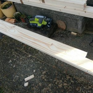 IMAG3482