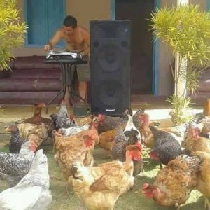 this party is raging till the break of dawn then these guys need to get to work
