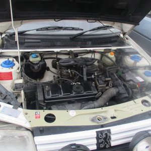 16711643 1858852854352228 187461569839066666 n
