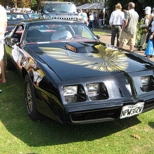 worthing  wo20080727 088