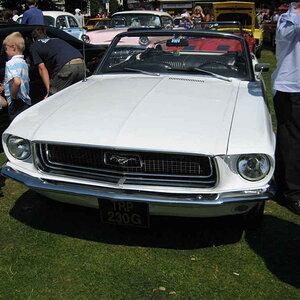 worthing  wo20080727 166