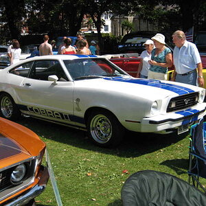 worthing  wo20080727 183