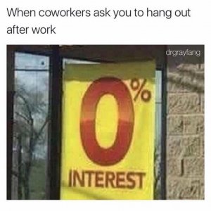 no thanks i have literally anything else to do