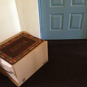 delivery fails 1