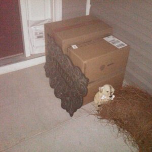 delivery fails